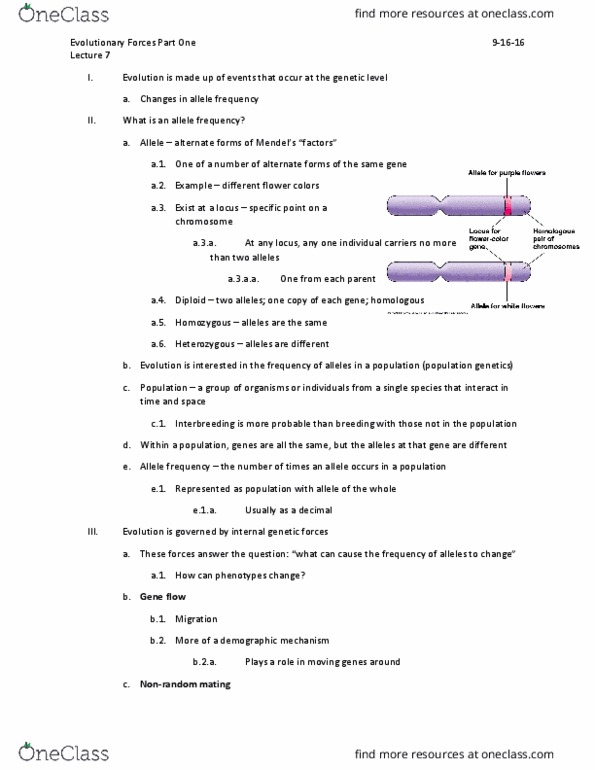 BIO 200 Lecture Notes - Lecture 7: Metaphase, Frameshift Mutation, Gamete thumbnail