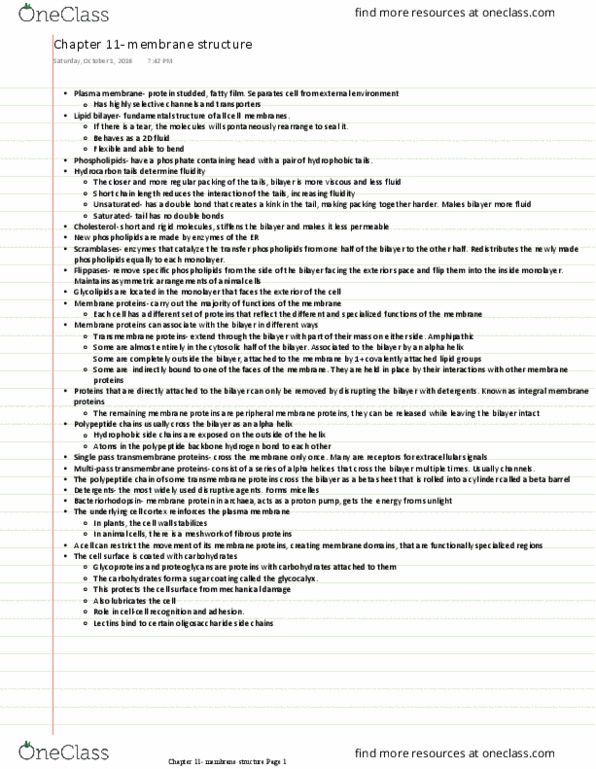 BIO 327 Chapter Notes - Chapter 11: Glycocalyx, Hydrogen Bond, Oligosaccharide thumbnail