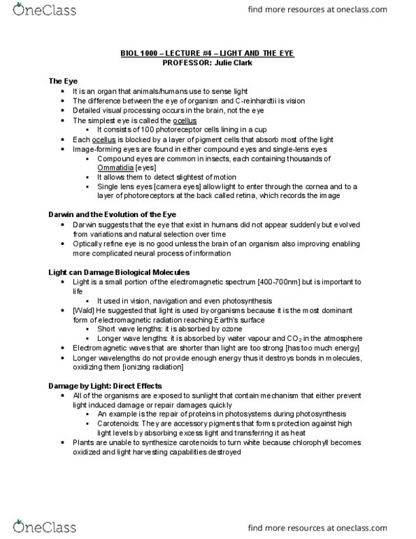 BIOL 1000 Lecture Notes - Lecture 4: Melanin, Opsin, Mutation thumbnail