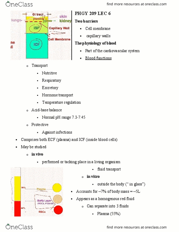PHGY 209 Lecture Notes - Lecture 6: Antibody, Critical Role, Litre thumbnail