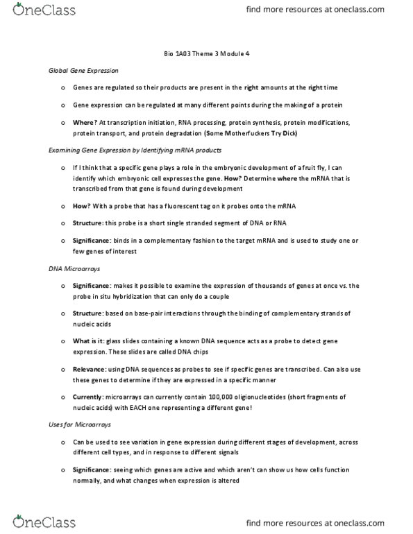 BIOLOGY 1A03 Lecture Notes - Lecture 3: Ubiquitin, Rna Interference, Microrna thumbnail