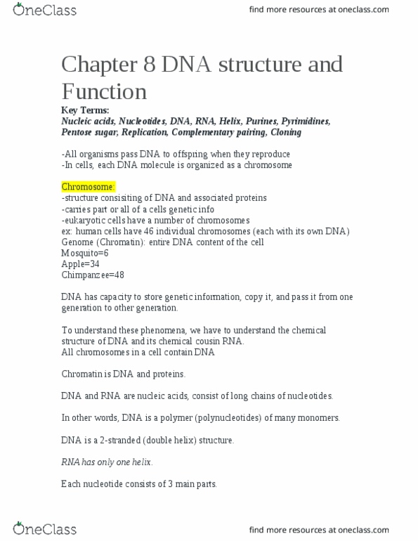 BSC 1005 Lecture Notes - Lecture 17: Guanine, Francis Crick, Adenine thumbnail