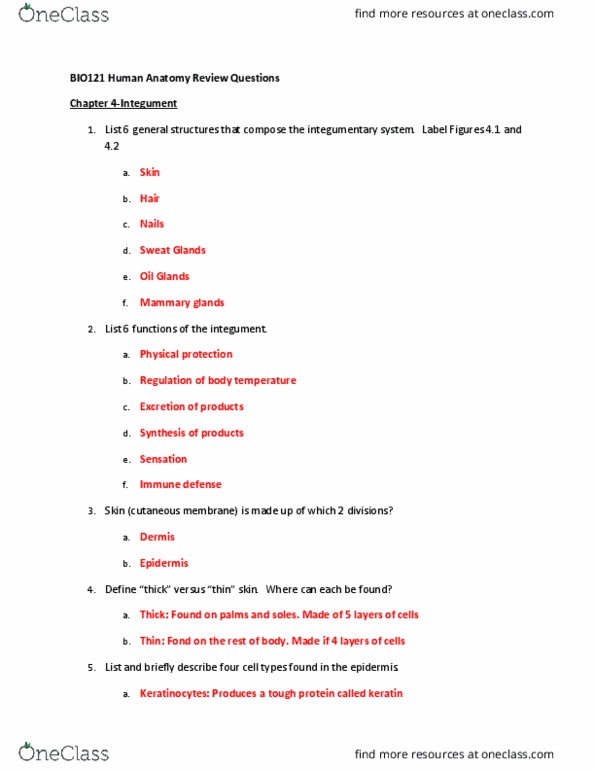 BIO 121 Lecture Notes - Lecture 4: Eponychium, Merocrine, Apocrine thumbnail