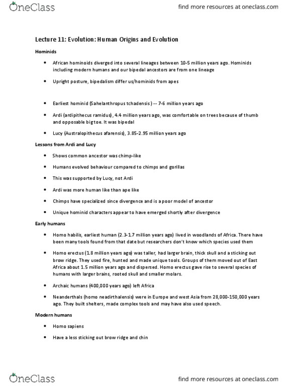 BIOA01H3 Lecture Notes - Lecture 11: Archaic Humans, Natural Selection, Multiregional Origin Of Modern Humans thumbnail