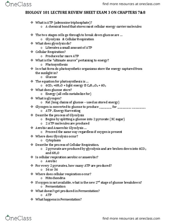 BIO 101 Lecture Notes - Lecture 23: Carbon Fixation, Ribulose, Photorespiration thumbnail