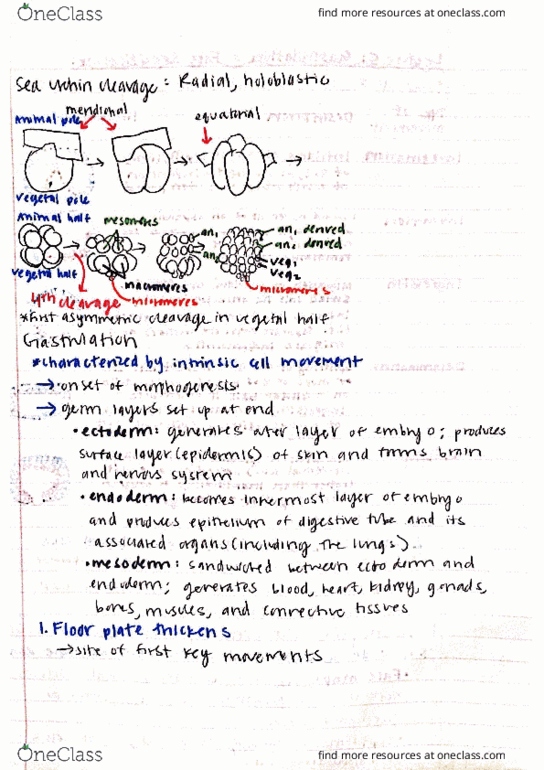 GCD 4161 Lecture Notes - Lecture 8: Kilowatt Hour, Fate Mapping thumbnail