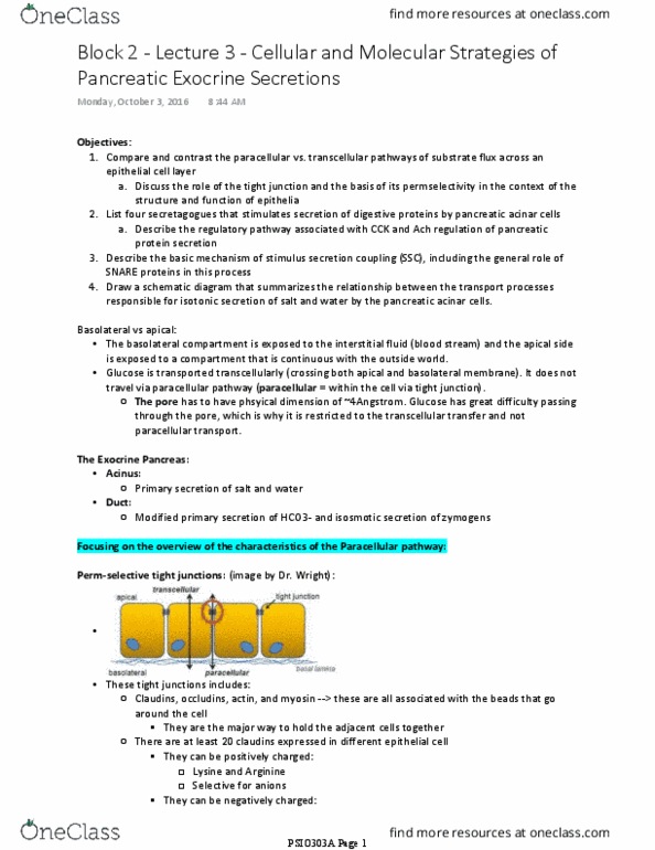 PSIO 303A Lecture Notes - Lecture 18: Arginine, Gastric Acid, Lysine thumbnail