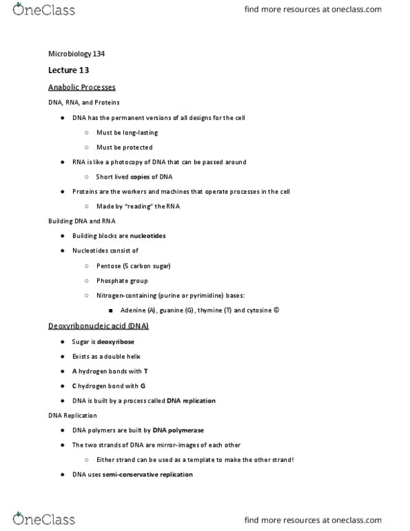 BIOL 134 Lecture Notes - Lecture 13: Microbiology, Purine, Pyrimidine thumbnail