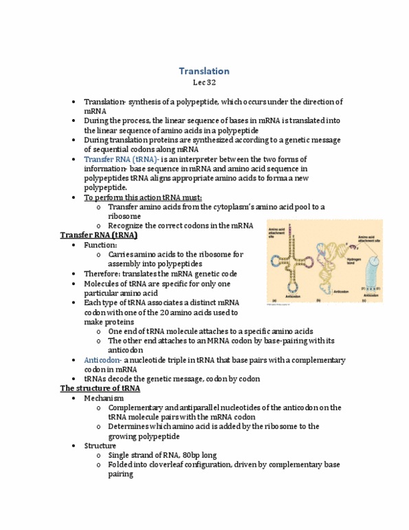 BIOL 1010 Lecture Notes - Endomembrane System, Insulin, Aminoacyl-Trna thumbnail