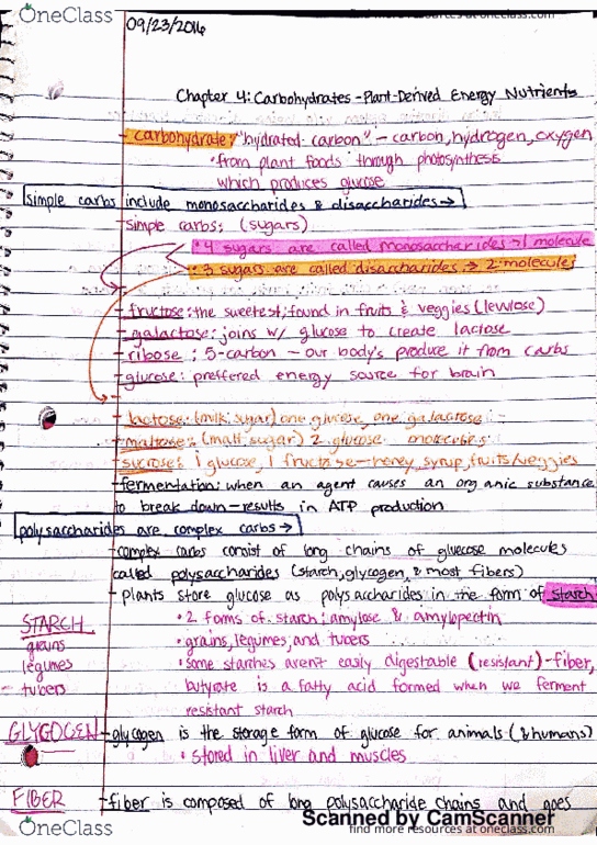 HMGT 2460 Chapter 4: Chapter 4 Notes pg.1 thumbnail