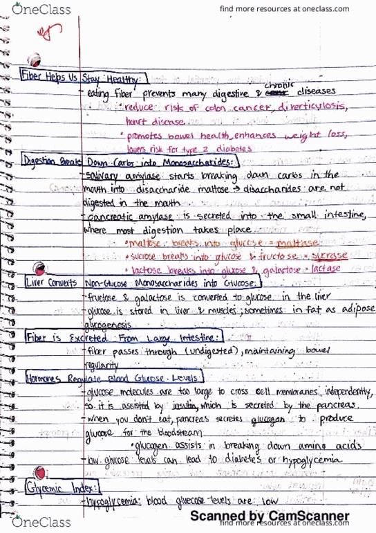 HMGT 2460 Chapter 4: Chapter 4 Notes pg.3 thumbnail