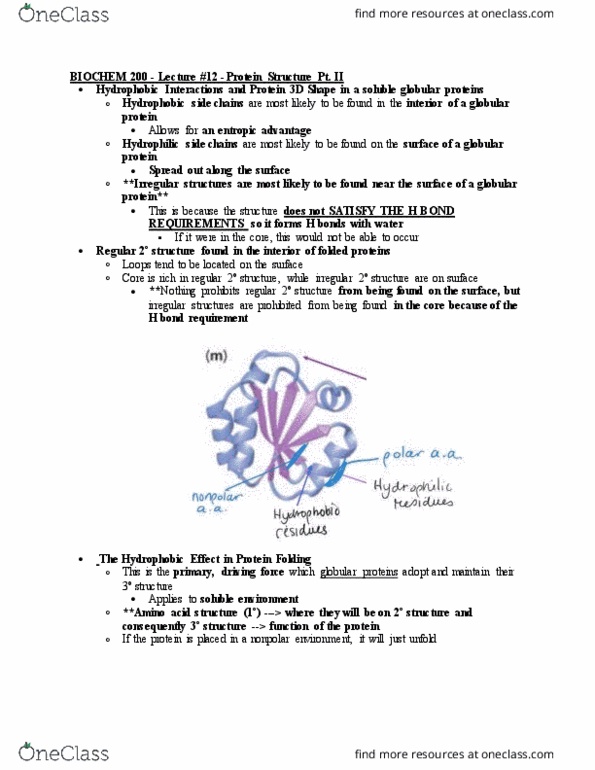 BIOCH200 Lecture Notes - Lecture 12: Globular Protein, Protein Structure, Entropy thumbnail