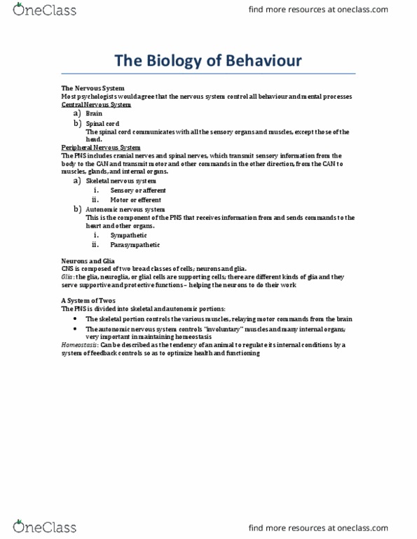 PSYC 100 Lecture Notes - Lecture 7: Excitatory Postsynaptic Potential, Excitatory Synapse, Autonomic Nervous System thumbnail