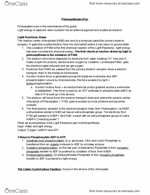 LIFE 102 Lecture Notes - Lecture 10: Oxidative Phosphorylation, Thylakoid, Atp Synthase thumbnail