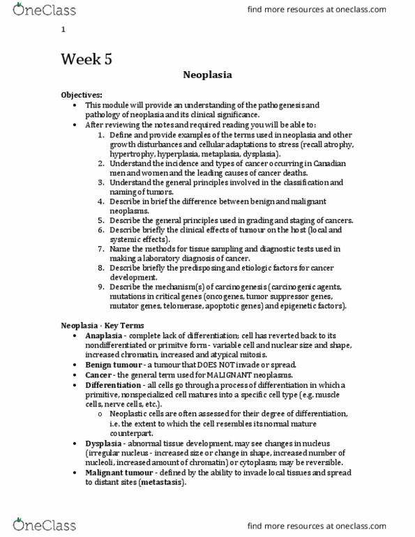 Pathology 2420A Lecture Notes - Lecture 5: Benign Prostatic Hyperplasia, Squamous Cell Carcinoma, Prostate Cancer thumbnail