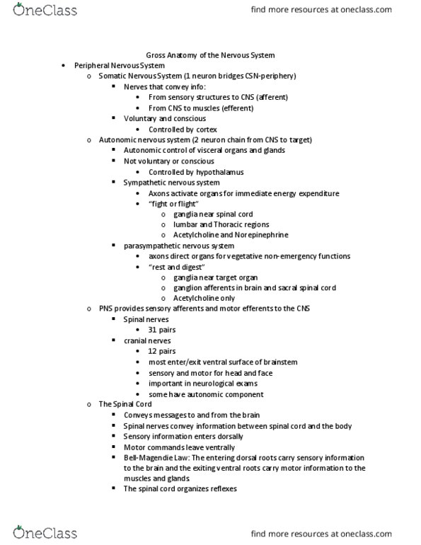 PSB-2000 Lecture Notes - Lecture 4: Autonomic Nervous System, Parasympathetic Nervous System, Sagittal Plane thumbnail