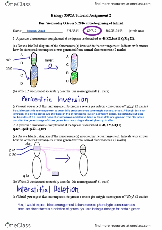 Biology 3592A Lecture Notes - Metaphase, Chromosome thumbnail