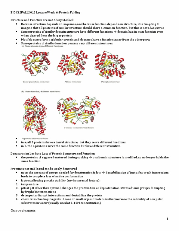 BIOC12H3 Lecture Notes - Lecture 6: Proline, Prokaryote, Groel thumbnail