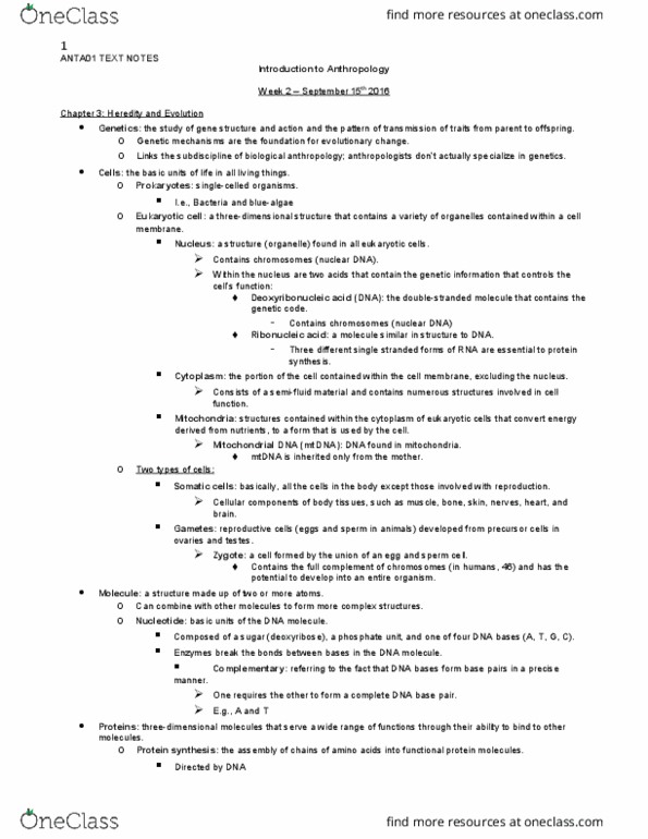 ANTA01H3 Chapter Notes - Chapter 3: Nuclear Dna, Somatic Cell, Allosome thumbnail