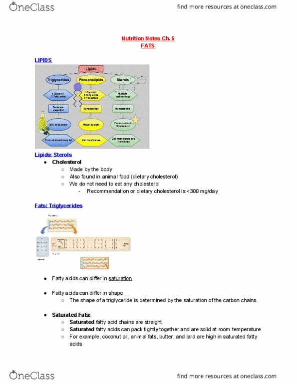 IPHY 2420 Lecture Notes - Lecture 5: Canola, Trans Fat, Safflower thumbnail