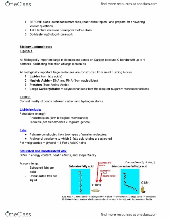 EBIO 1210 Lecture Notes - Lecture 1: Glycerol, Triglyceride, Cell Nucleus thumbnail