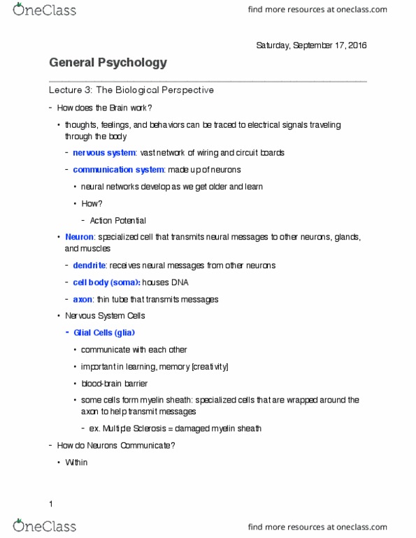 01:830:101 Lecture Notes - Lecture 3: Myelin, Peripheral Nervous System, Central Nervous System thumbnail