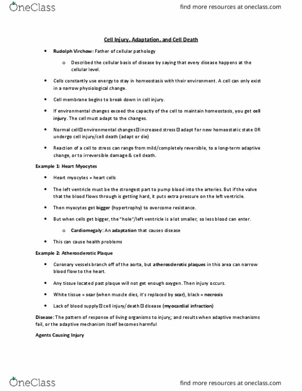 Pathology 3240A Lecture Notes - Lecture 2: Squamous Metaplasia, Squamous Cell Carcinoma, Intestinal Metaplasia thumbnail