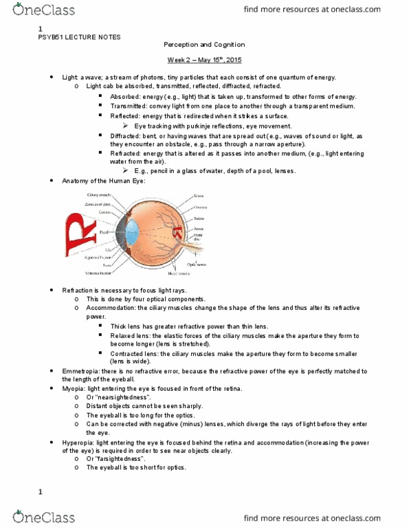 PSYB51H3 Lecture Notes - Lecture 2: Ciliary Muscle, Amacrine Cell, Refractive Error thumbnail