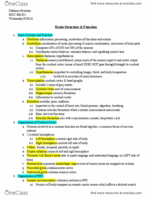BISC306 Lecture Notes - Lecture 10: Brain Structure And Function, Somatotopic Arrangement, Cerebral Cortex thumbnail