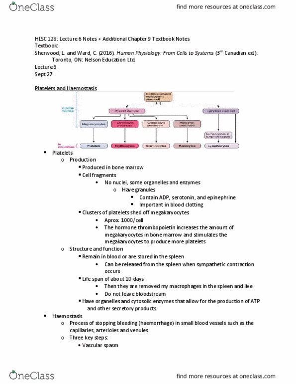 HLSC-128 Chapter Notes - Chapter 9: Hemostasis, Vasospasm, Megakaryocyte thumbnail