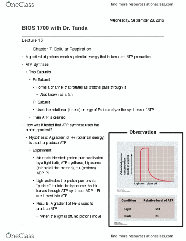 BIOS 1700 Lecture 15: BIOS 1700 Notes #14 PDF thumbnail