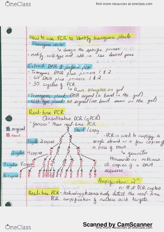 BOT 4734C Lecture 9: How to use PCR and real time VS traditional thumbnail