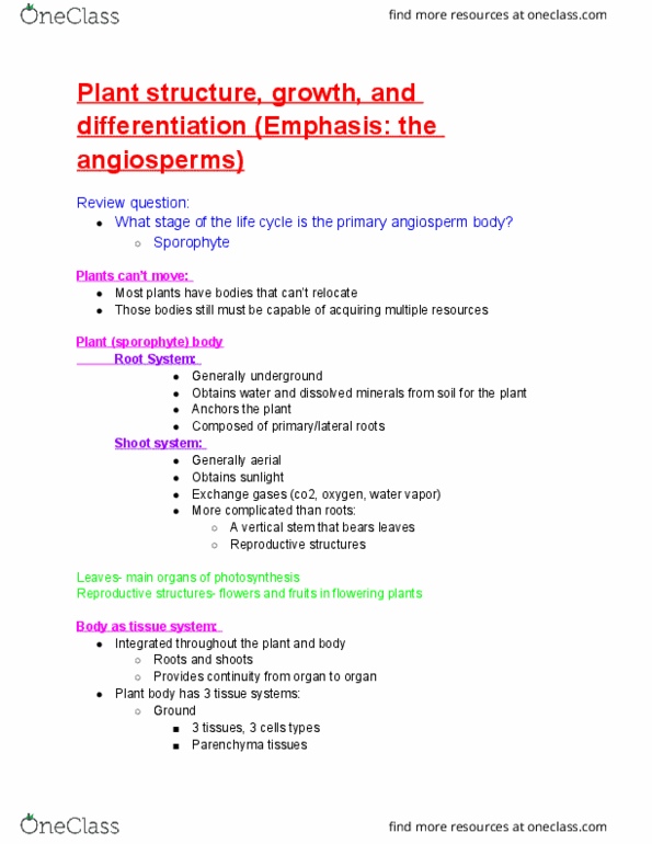 BIOL 101 Lecture Notes - Lecture 14: Sporophyte, Flowering Plant, Parenchyma thumbnail