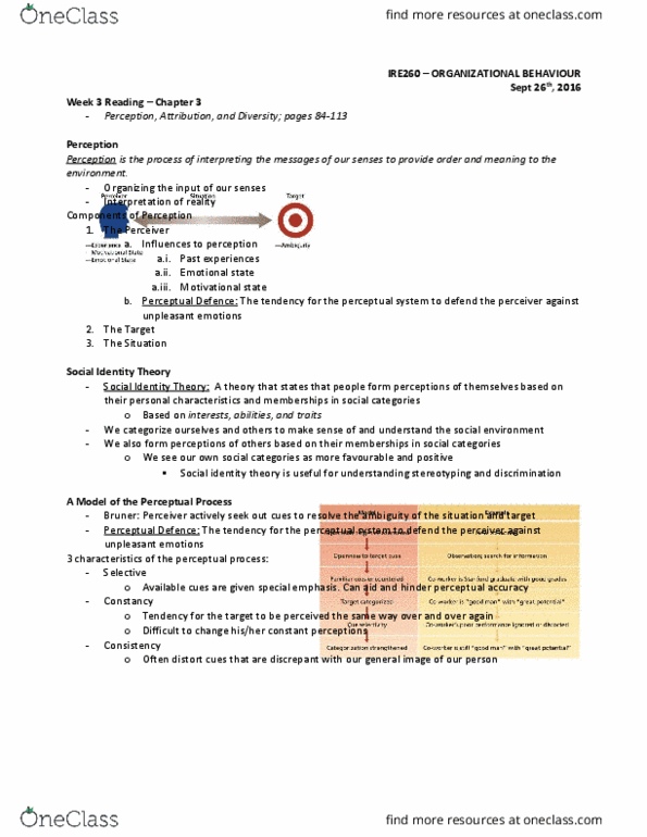 IRE260H1 Chapter 3: Perception, Attribution, and Diversity thumbnail