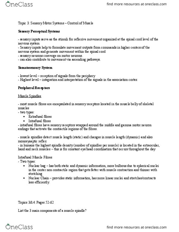 KINE 3020 Lecture Notes - Lecture 3: Gamma Motor Neuron, Muscle Spindle, Sensory Neuron thumbnail