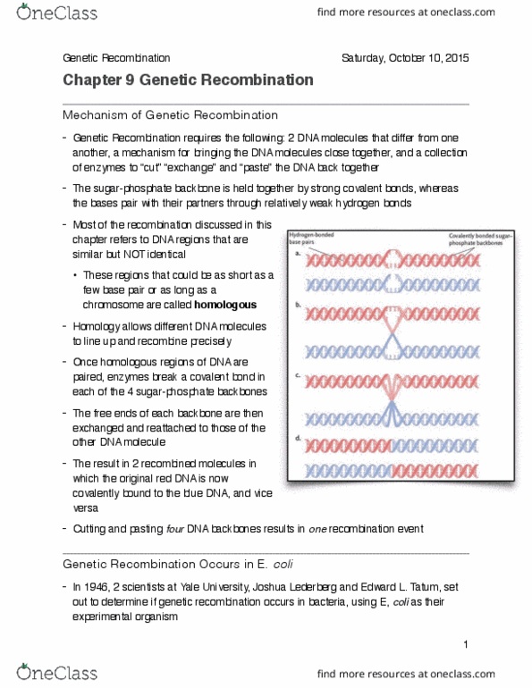 BIOL 1101 Chapter 9: Chapter 9 thumbnail