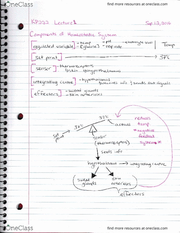 KP222 Lecture Notes - Lecture 1: Tral thumbnail