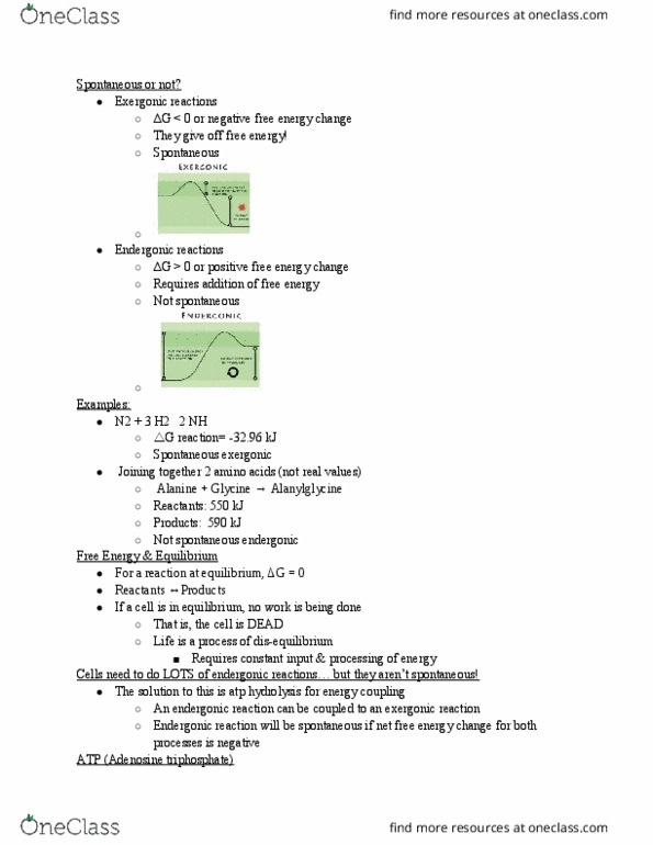 BIO 111 Lecture Notes - Lecture 8: Exergonic Reaction, Lactose Intolerance, Adenosine Triphosphate thumbnail