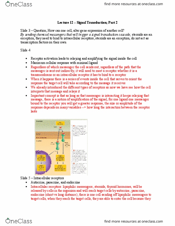 BIO 1140 Lecture Notes - Lecture 12: Sh2 Domain, Tyrosine Kinase, Glucocorticoid Receptor thumbnail