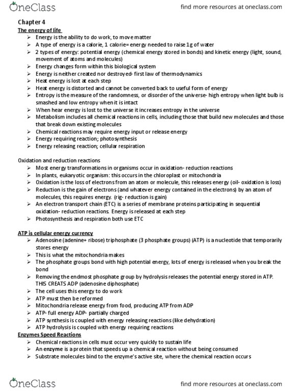 BIOL 1500 Lecture Notes - Lecture 4: Atp Hydrolysis, Cellular Respiration, Solution thumbnail