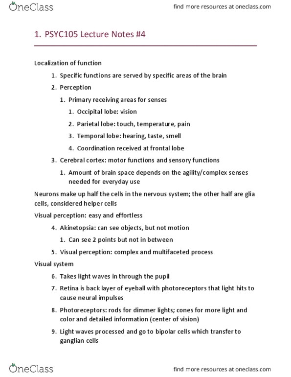 PSYC 105 Lecture Notes - Lecture 4: Occipital Lobe, Parietal Lobe, Frontal Lobe thumbnail