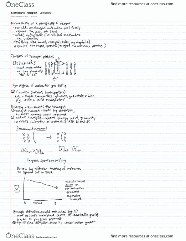 BIOLOGY 151 Lecture 5: Membrane Transport - Lecture 5 thumbnail