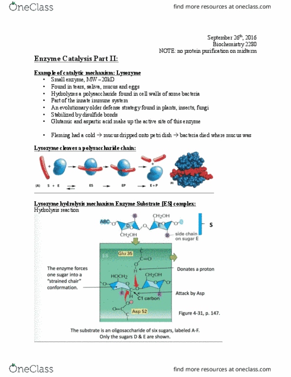 Biochemistry 2280A Lecture 7: Enzyme Catalysis Part II Sept 26 thumbnail
