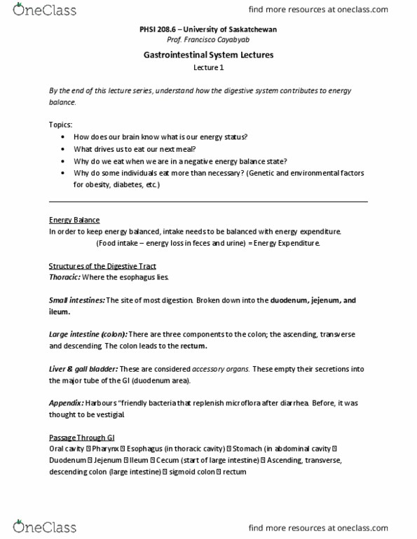 PHSI 208 Lecture Notes - Lecture 1: Thoracic Cavity, Gastric Acid, Salivary Gland thumbnail