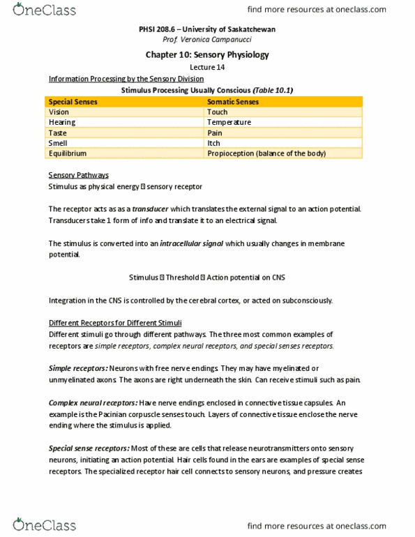 PHSI 208 Chapter 10: PHSI 208.6 Chapter 10 Notes (VC14) thumbnail