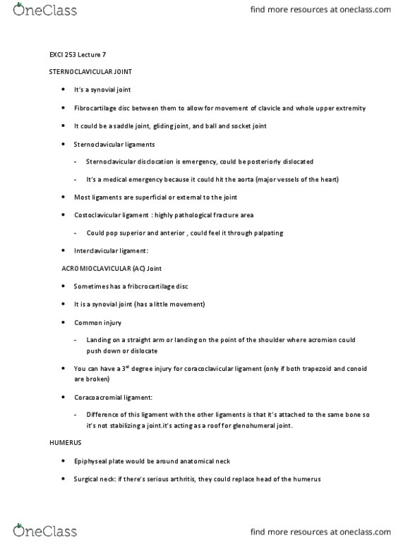 EXCI 253 Lecture Notes - Lecture 7: Coracoacromial Ligament, Coracoclavicular Ligament, Glenohumeral Ligaments thumbnail