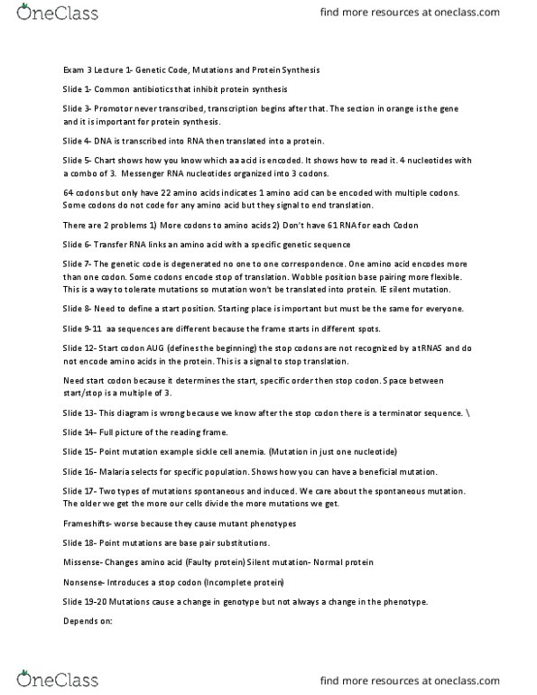 MICR 2340 Lecture 8: Lecture 8- Exam 3 Lecture 1 ( Genetic Code, Mutations and Protein Synthesis) thumbnail