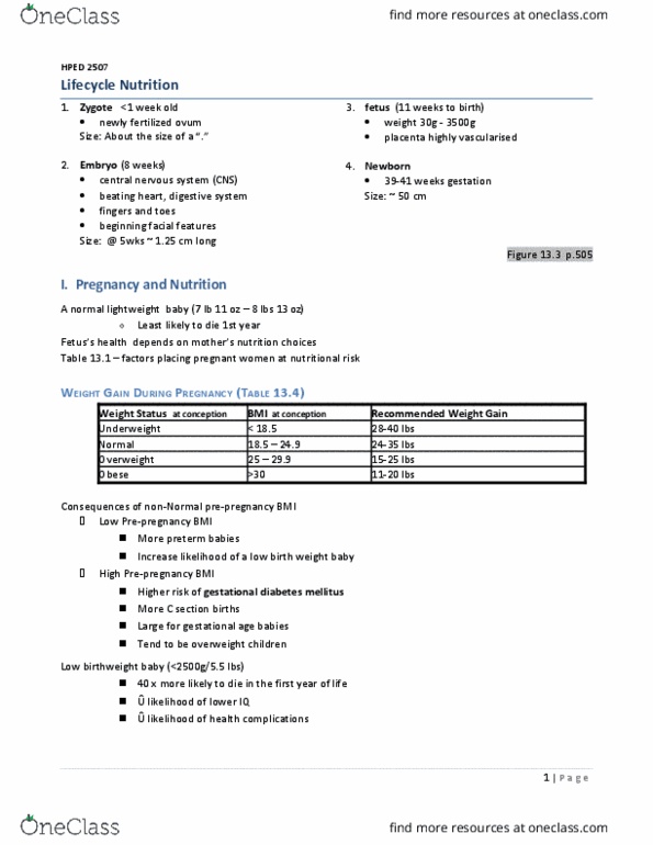 HPED 2507 Lecture 20: Lifecycle Nutrition thumbnail