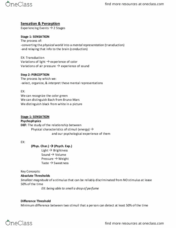 PSYCH 100 Lecture Notes - Lecture 9: Basilar Membrane, Detection Theory, Absolute Threshold thumbnail