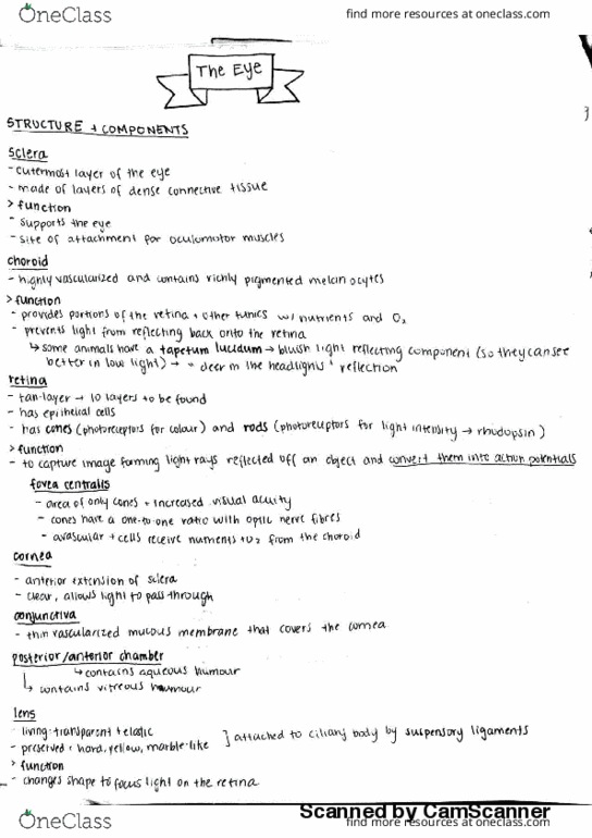 Anatomy and Cell Biology 2221 Lecture 10: The Eye thumbnail